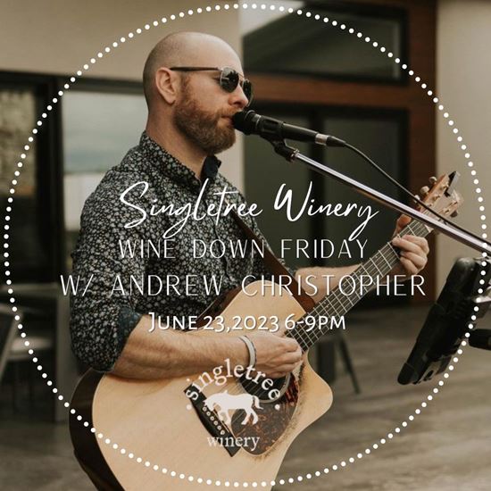 Picture of Wine Down Friday June 23: Andrew Christopher