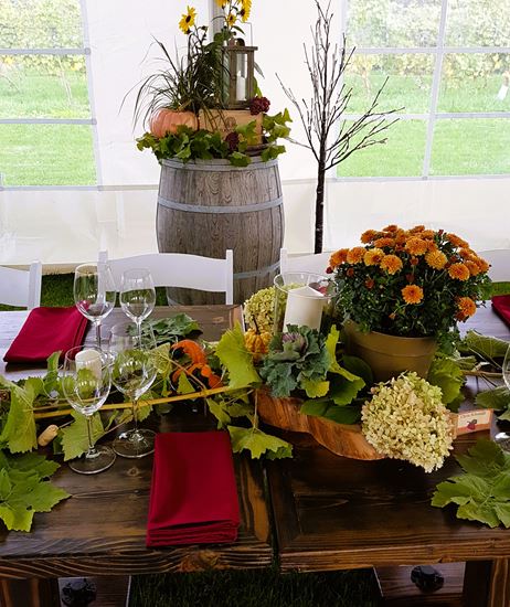 Picture of Vineyard Harvest Dinner -2024